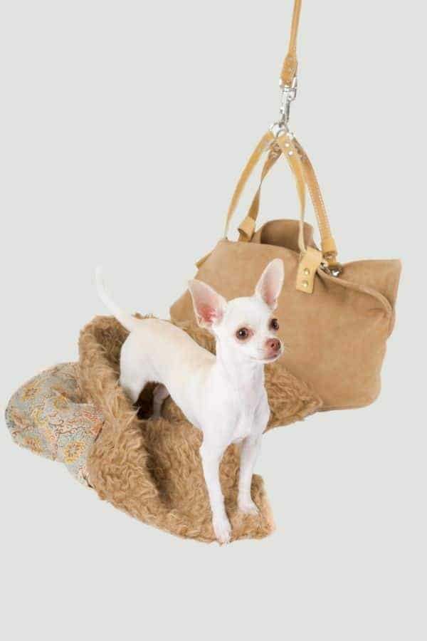 PIXIE 2 in 1 Dog Carrier Bag