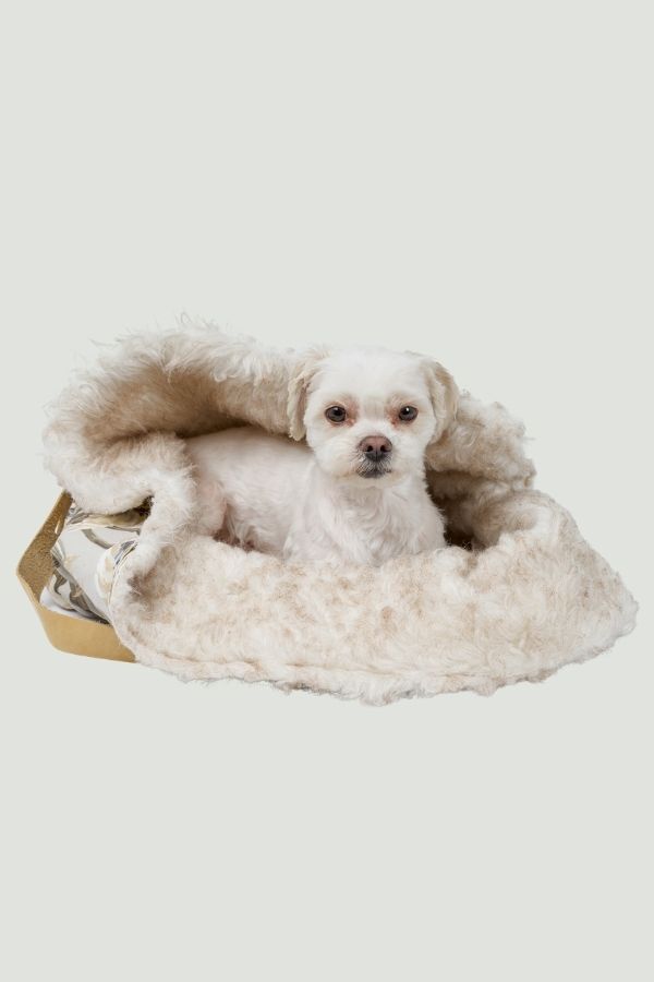 Sophie luxury dog bag